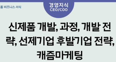 마케팅 믹스 4P - 신제품 개발, 과정, 개발 전략, 선제기업 후발기업 전략, 캐즘마케팅